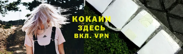крисы Арсеньев