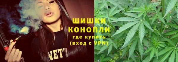 apvp Аркадак