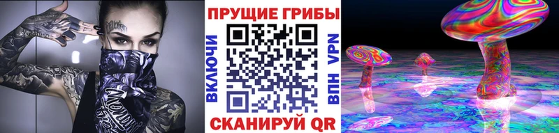 Галлюциногенные грибы MAGIC MUSHROOMS  купить   Пустошка 